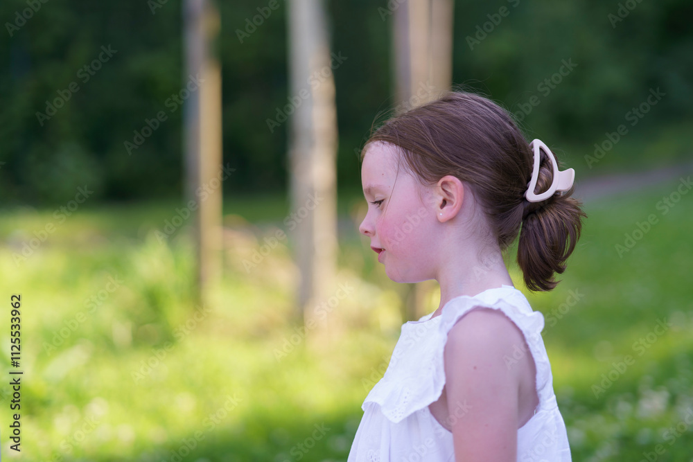 Little cute girl without front tooth on playground in summer in park. Concept of cheerful active child Little cute girl without front tooth on playground in summer in park. Concept of cheerful active child