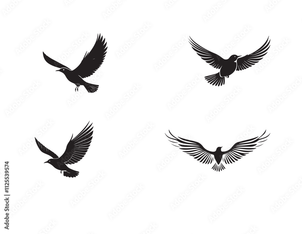Vector Illustrations of 4 Birds in Black and White Vector Illustrations of 4 Birds in Black and White