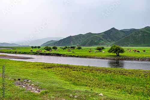 Wulan River and grassland in Inner Mongolia, China photo