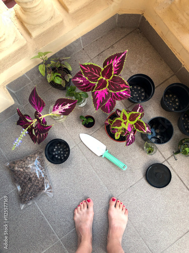 Colorful Flower Repotting Activity Outdoors