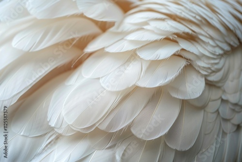 Close-up shot of white bird feathers, suitable for ornithological or wildlife-inspired designs