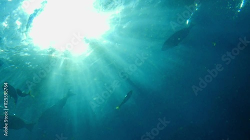 海のイメージ