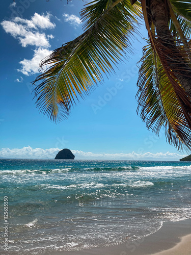 Beautiful beach view with palm tree and Diamond Rock in Martinique