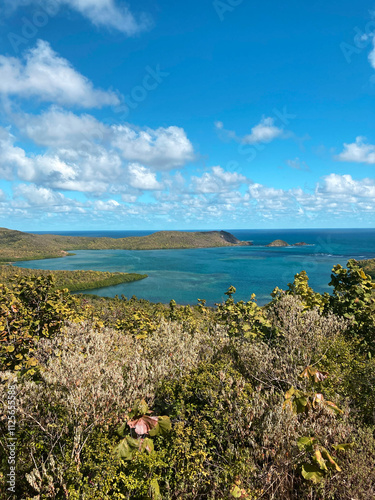 Stunning coastal view of Martinique island landscape