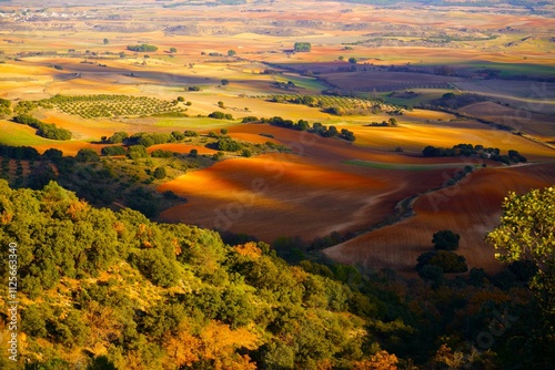 Campos de cultivo de la provincia de Cuenca , Huete , España.
