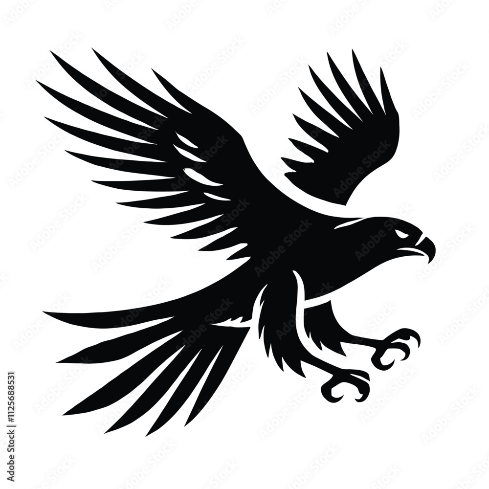 Obraz premium Hawk Soaring,