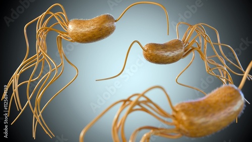 3d rendering of Pseudomonas fluorescens, It is motile due to the presence of multiple flagella, short rods with rounded ends. photo