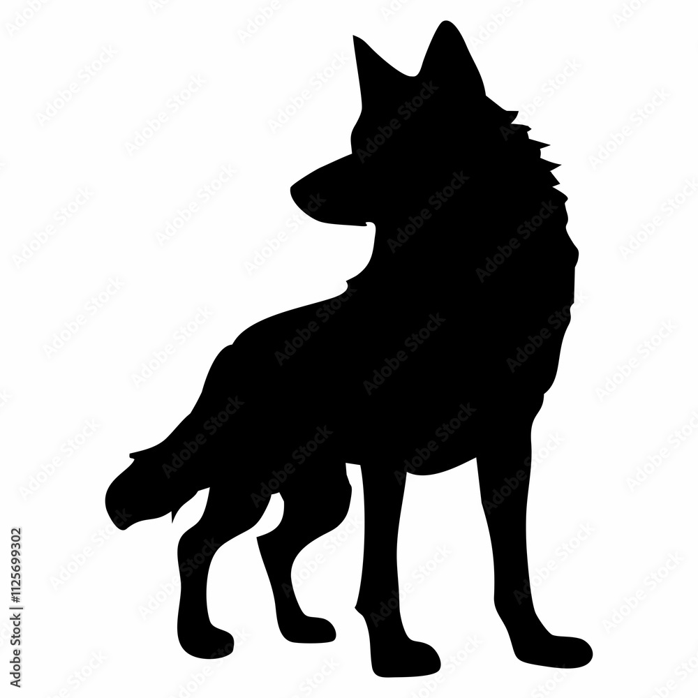 A BLACK WOLF SILOUTE RUNS AND ROARS A BLACK WOLF SILOUTE RUNS AND ROARS