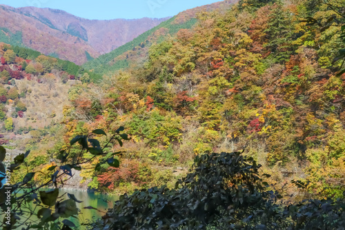 秋の奥多摩湖。紅葉する山。