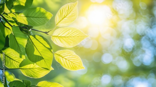 First signs of spring with fresh green leaves on tree branch illuminated by sunlight in a blurred nature background showing seasonal awakening