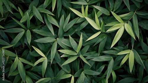 Lush bamboo leaves in varying shades of green creating a serene and natural background ideal for nature-themed designs and projects photo