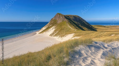 Scenic view of a coastal sand hill with lush grass overlooking the tranquil sea under a clear blue sky photo