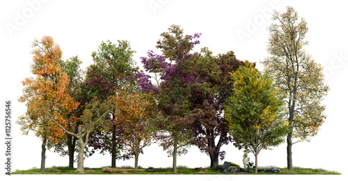 PNG small autumn forest row, 3d illustration rendering