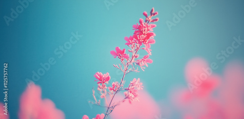 Vibrant pink flowers stand tall against a blue sky on a sunny day in springtime. A slender branch adorned with vibrant pink flowers reaches upward toward a bright blue sky