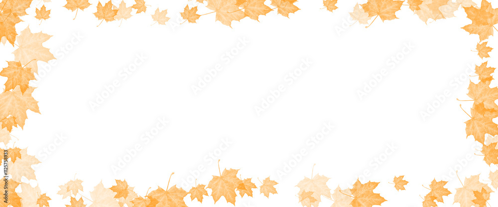 maple leaf illustration for frame without background maple leaf illustration for frame without background