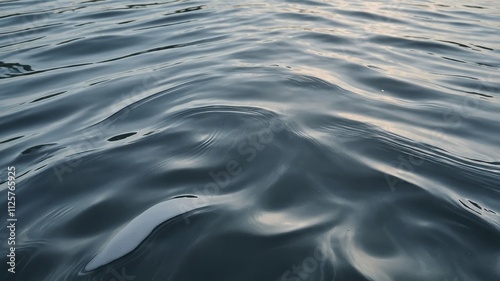 Clear water surface texture with gentle ripples