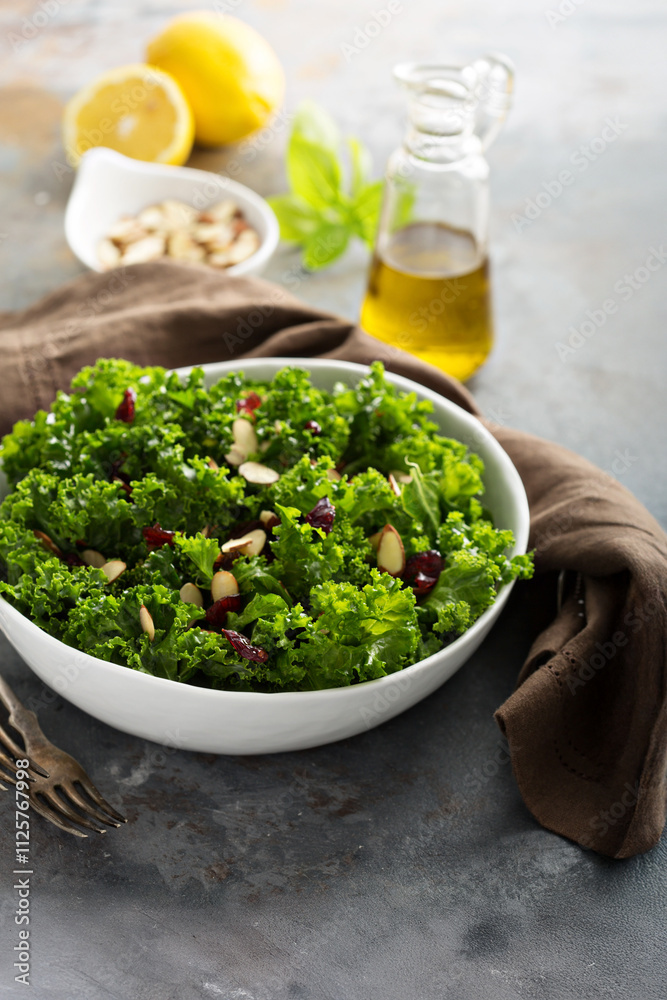 Fresh healthy salad with kale and cranberry Fresh healthy salad with kale and cranberry