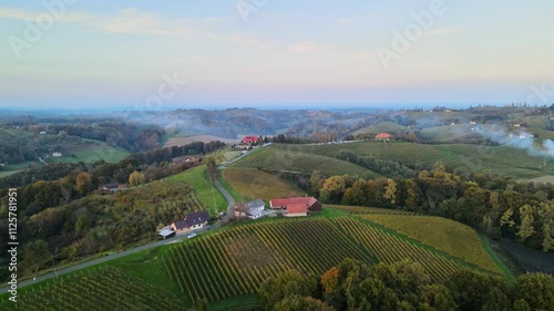 Stunning aerial 4K drone footage a wine region of Jeruzalem, Slovenia. Filmed on a sunny autumn day. Video shows beautiful Slovenian countryside surrounded by vineyards. photo