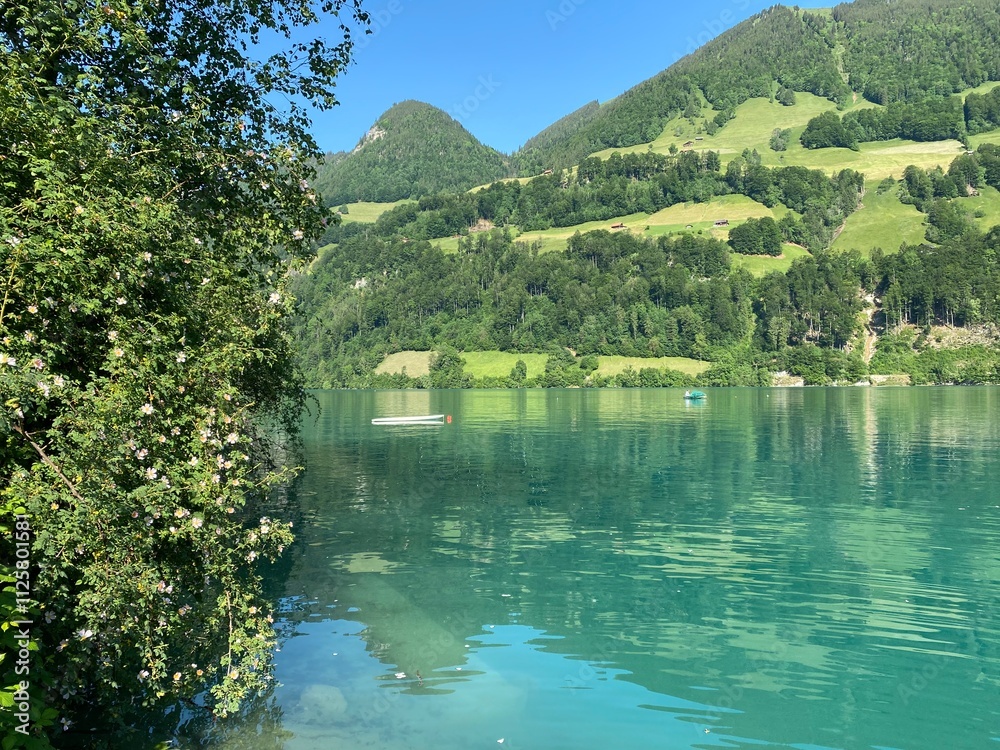 Fototapeta premium Lake Lungern or Natural reservoir Lungerersee - Canton of Obwald, Switzerland (Naturstausee Lungernsee oder Lungerensee - Kanton Obwald, Schweiz)