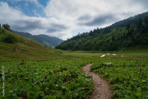 The valley of the Malaya Dukka River surrounded by the mountains of the North Caucasus and the tourist trail to the Dukka Lakes on a sunny summer day, Arkhyz, Karachay-Cherkessia, Russia photo