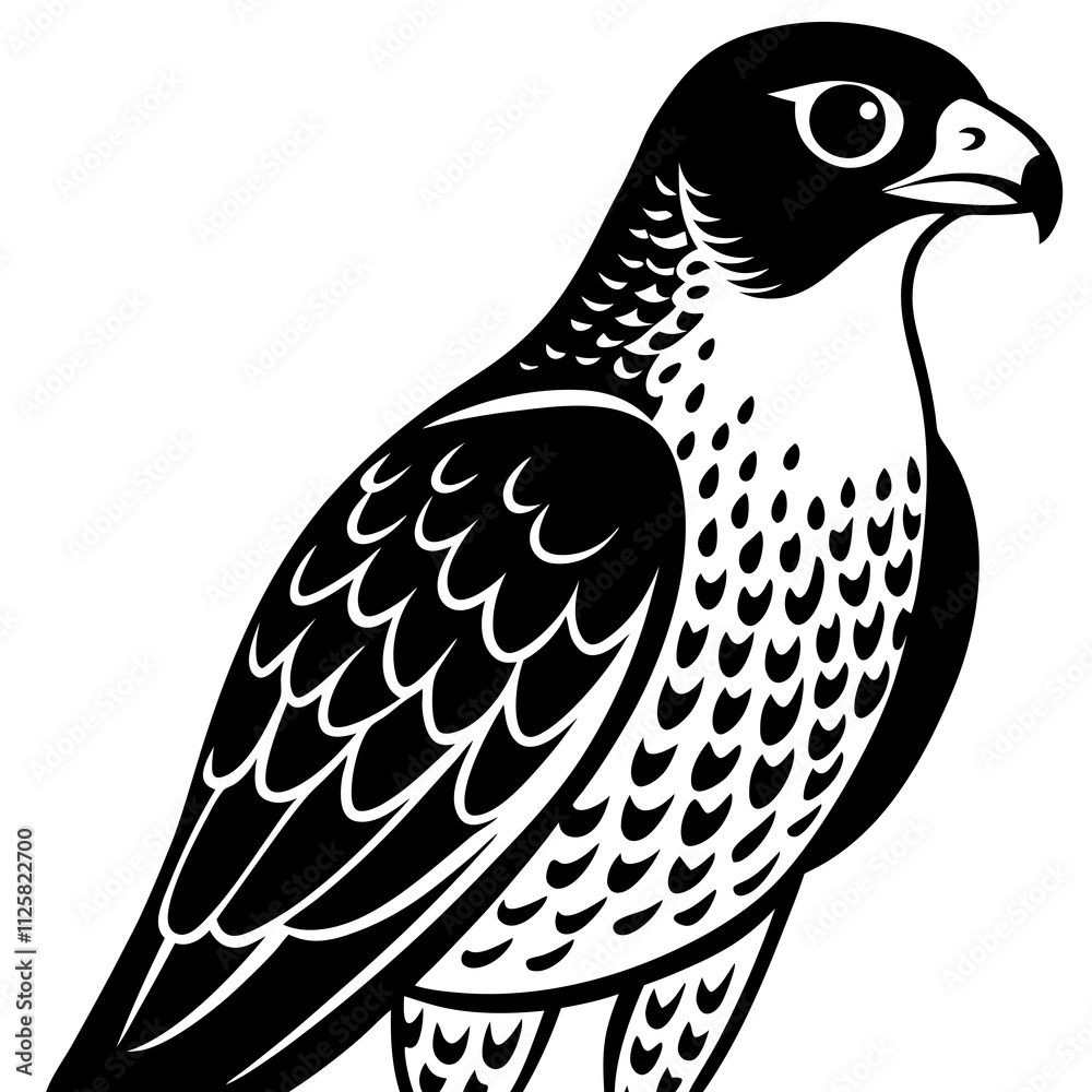 Fototapeta premium bird of prey