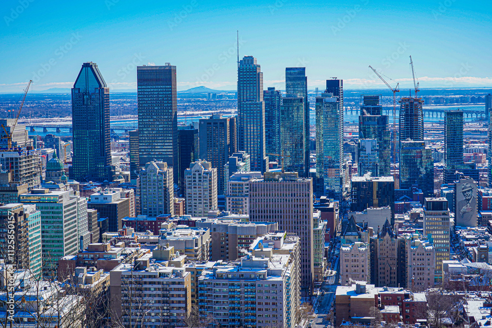 Fototapeta premium モントリオールの高層ビル群のイメージ