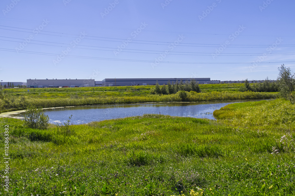 A Warm Summer Day at Pylypow Wetlands A Warm Summer Day at Pylypow Wetlands