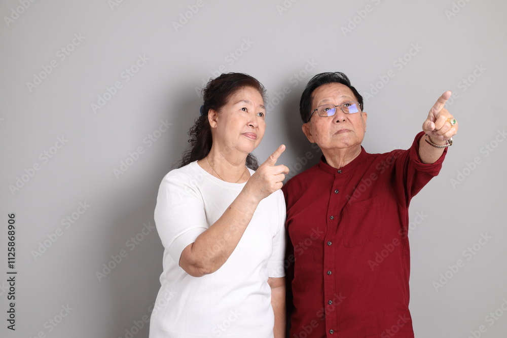 Senior Asian Couple Senior Asian Couple
