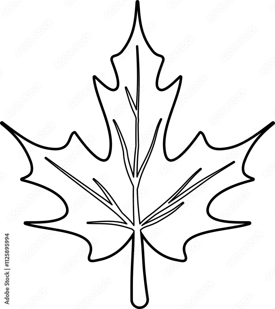 Fototapeta premium Maple leaf coloring outline vector