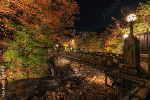 Stone Bridge over Yoshina River Night