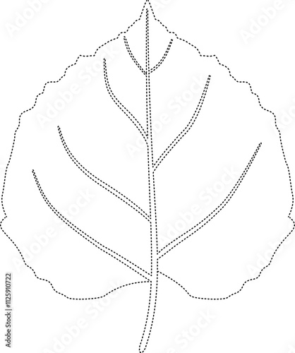 Aspen leaf coloring tracing vector