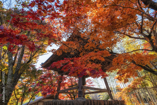 Shoro Shuzenji Temple Bell Tower