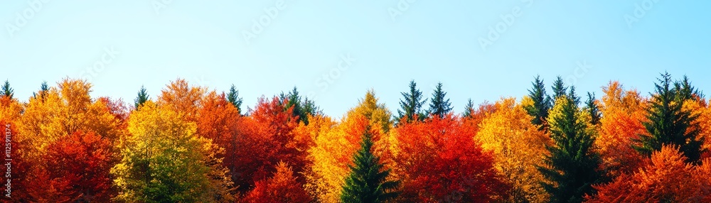 Vibrant autumn forest showcasing a stunning array of orange, red, and yellow foliage against a clear blue sky. Vibrant autumn forest showcasing a stunning array of orange, red, and yellow foliage against a clear blue sky.