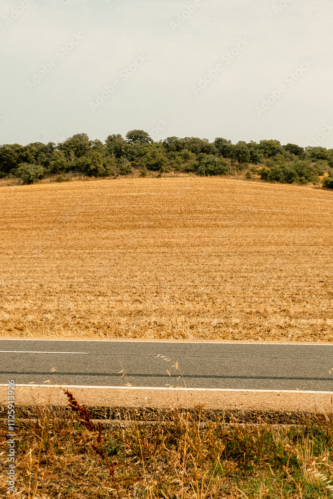 Wild landscapes on the Camino de Santiago