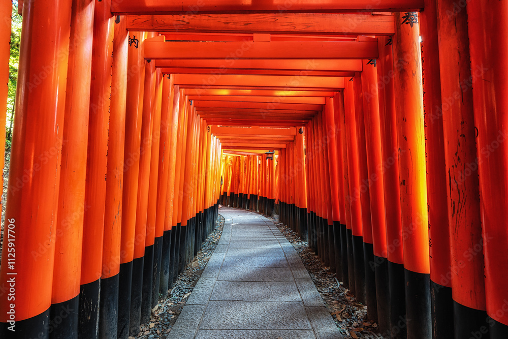 Fototapeta premium Fushimi Inari Shrine Torii gates