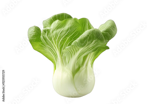 Fresh Green Bok Choy Vegetable photo