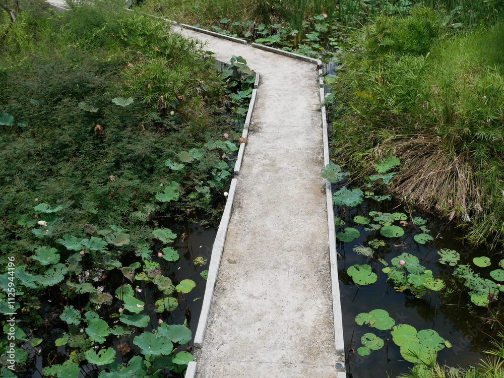 Fototapeta premium The path is made of cement.