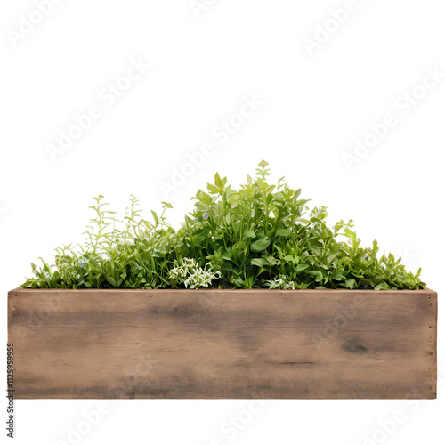 Wooden Planter Box with Fresh Plants on Transparent Background