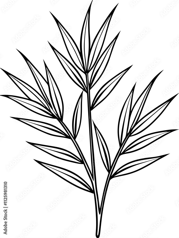 Fototapeta premium Line art of a bamboo branch with leaves. Vector illustration 