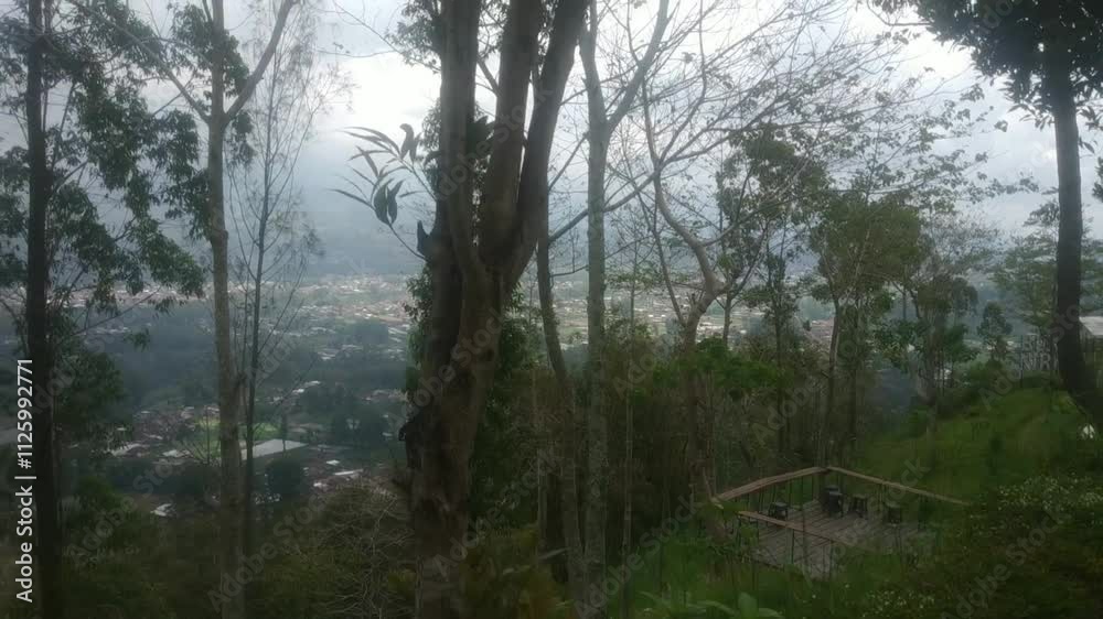 The cool and beautiful scenery on Nirwana Hill. The cool and beautiful scenery on Nirwana Hill.