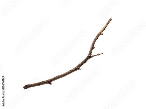 Old dry tree branch isolated on transparent 