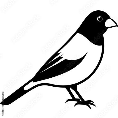  canary bird vector silhouette design