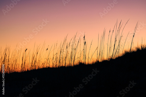 Endless Shoreline: Vistas of the Tranquil Beach