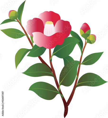 ベクター, ツバキ, つばき, 椿, 花, ボタニカル, 植物, 冬, 寒中見舞い, 寒中お見舞い, 1月, 自然, きれい, 日本, かわいい, おしゃれ, シンプル, 美しい, デザイン, ビジネス, 素材, フォーマル, コピースペース, イラスト, 葉書, 背景, ポストカード, 葉, 花びら, 綺麗, 和風, 和, 和柄, 和風イメージ, 上品, エレガント, お花, 赤, 緑