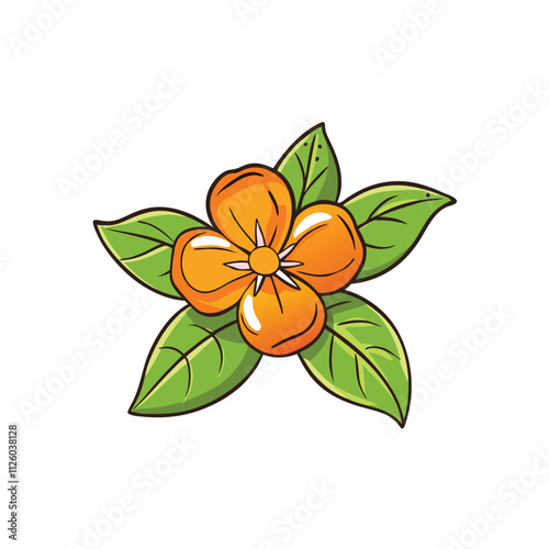 Orange Blossom with Leaves vector illustration Isolated on White Background