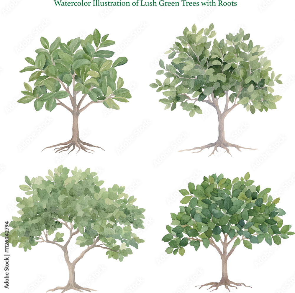 Obraz premium Watercolor Illustration of Lush Green Trees with Roots