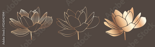 Luxurious floral illustration with golden outline lotus flowers.