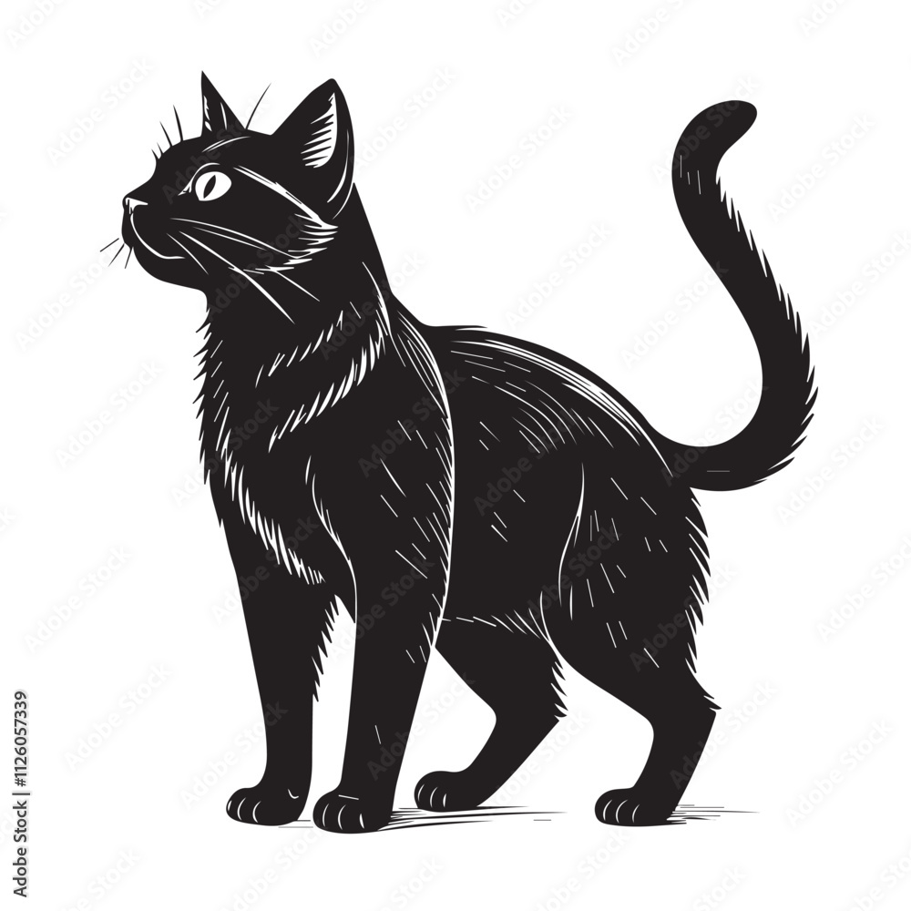 Obraz premium Cat vector
