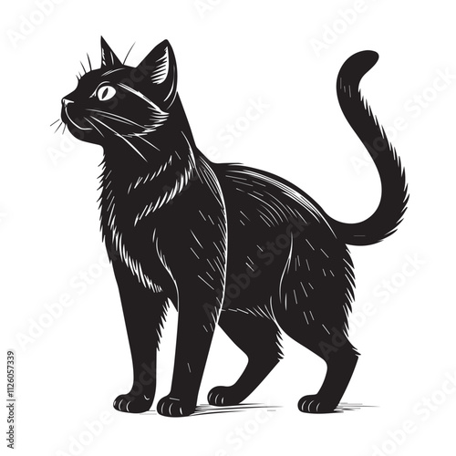 Cat vector