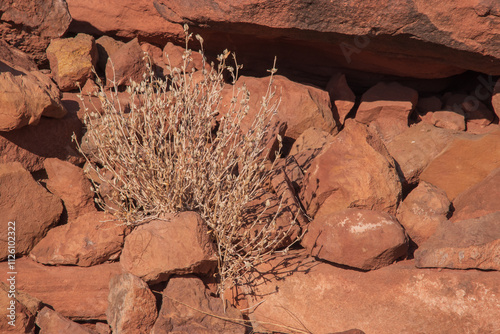 Namibia's stones - geological features of the desert.